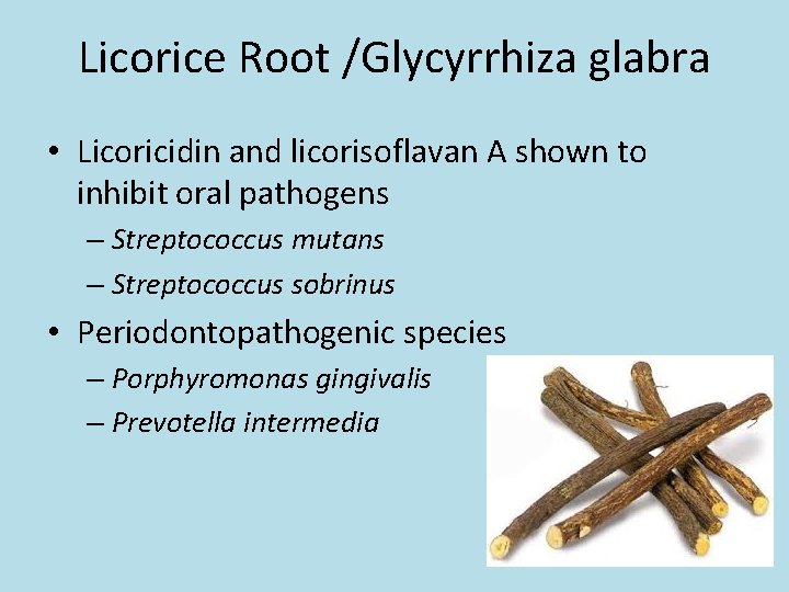 Licorice Root /Glycyrrhiza glabra • Licoricidin and licorisoflavan A shown to inhibit oral pathogens