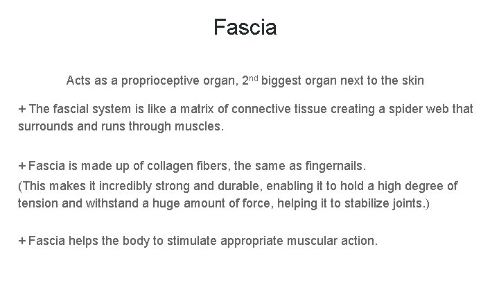 Fascia Acts as a proprioceptive organ, 2 nd biggest organ next to the skin