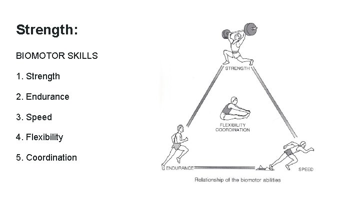 Strength: BIOMOTOR SKILLS 1. Strength 2. Endurance 3. Speed 4. Flexibility 5. Coordination 