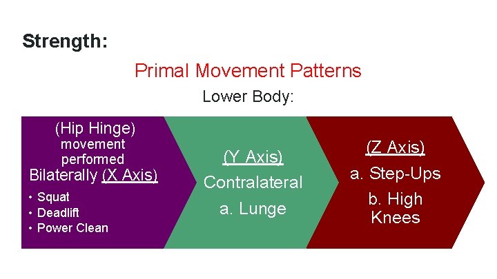 Strength: Primal Movement Patterns Lower Body: (Hip Hinge) movement performed Bilaterally (X Axis) •