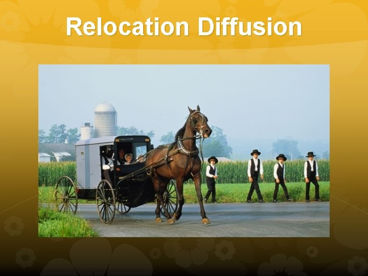 Relocation Diffusion 