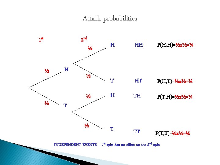 Attach probabilities 1 st 2 nd ½ ½ H T H HH P(H, H)=½x½=¼ Attach probabilities 1 st 2 nd ½ ½ H T H HH P(H, H)=½x½=¼