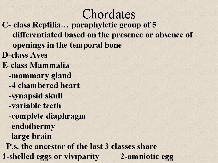 Chordates C- class Reptilia… paraphyletic group of 5 differentiated based on the presence or