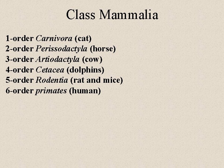 Class Mammalia 1 -order Carnivora (cat) 2 -order Perissodactyla (horse) 3 -order Artiodactyla (cow)