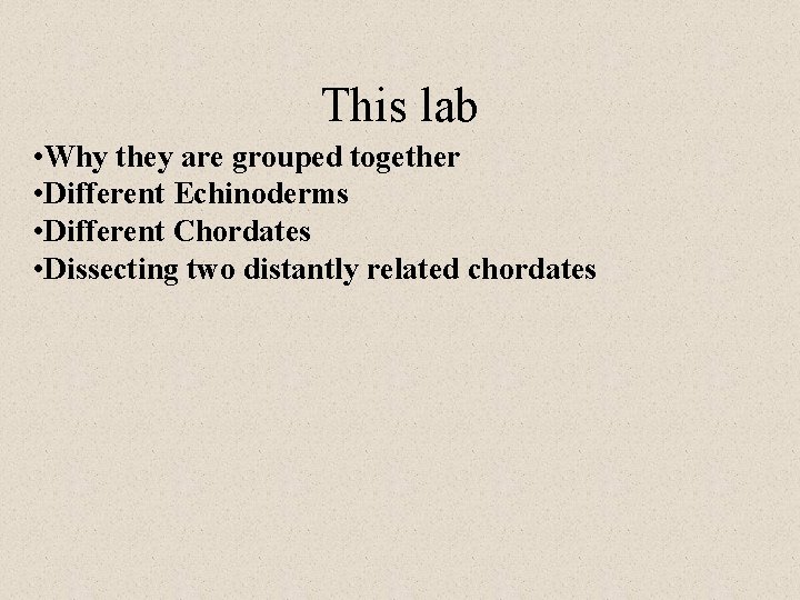 This lab • Why they are grouped together • Different Echinoderms • Different Chordates