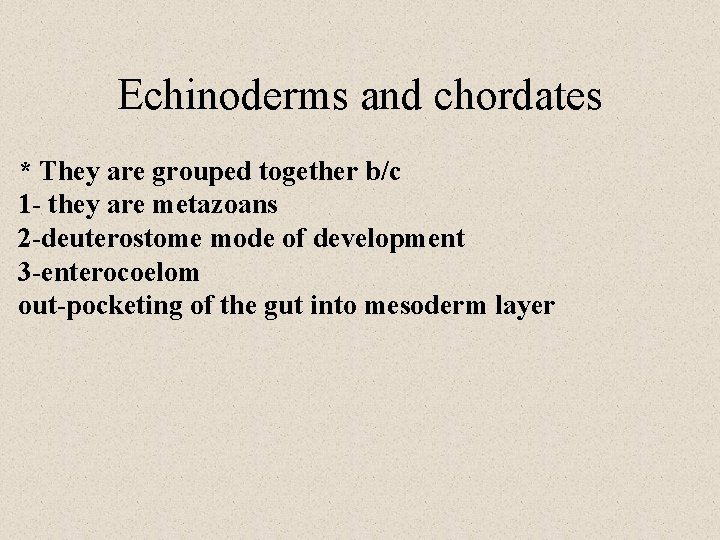 Echinoderms and chordates * They are grouped together b/c 1 - they are metazoans