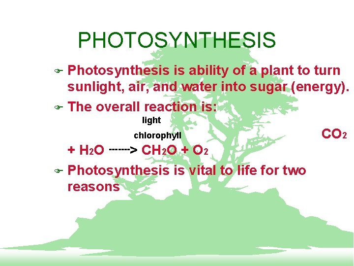 PHOTOSYNTHESIS Photosynthesis is ability of a plant to turn sunlight, air, and water into