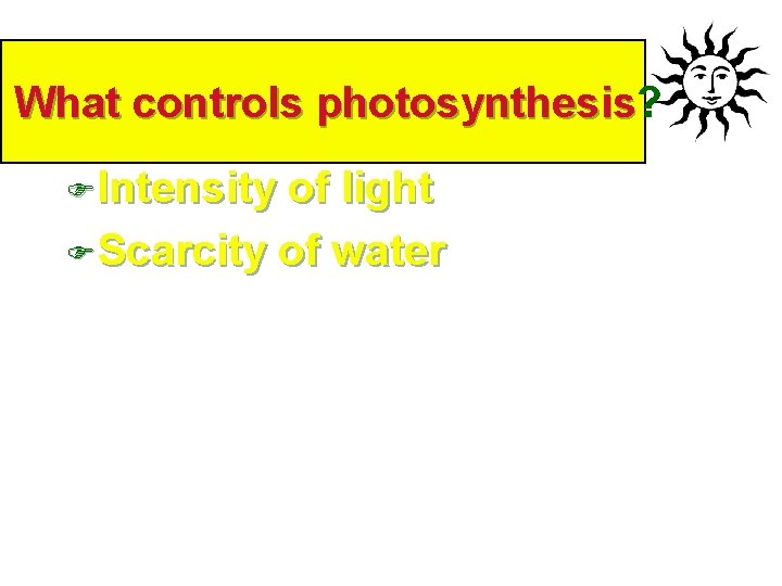 What controls photosynthesis? photosynthesis FIntensity of light FScarcity of water 