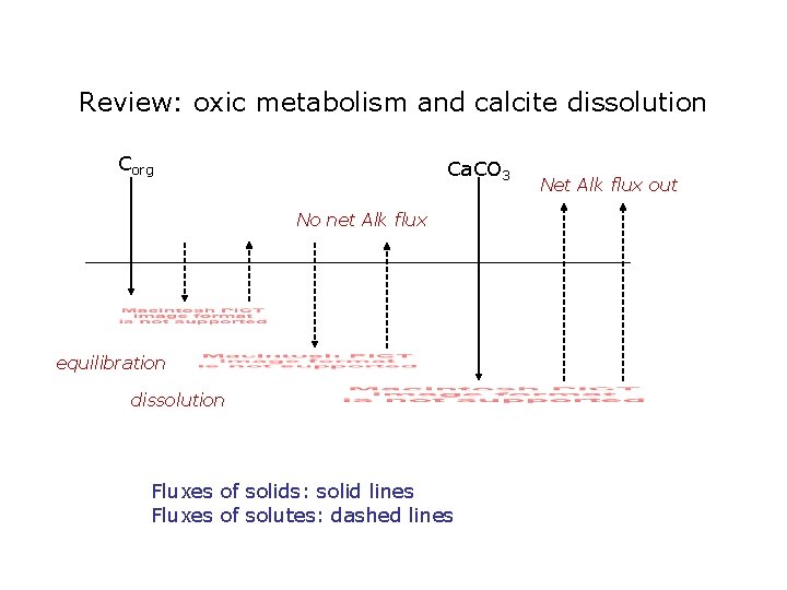 Review: oxic metabolism and calcite dissolution Corg Ca. CO 3 No net Alk flux