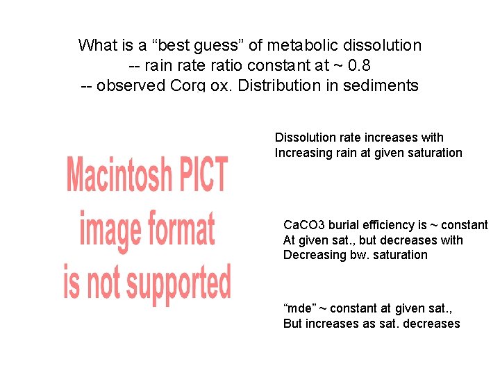 What is a “best guess” of metabolic dissolution -- rain rate ratio constant at