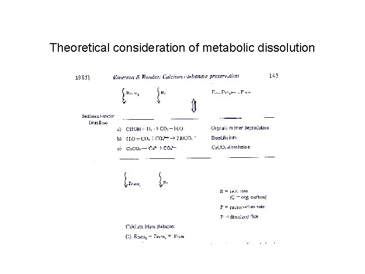 Theoretical consideration of metabolic dissolution 