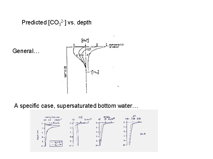 Predicted [CO 32 -] vs. depth General… A specific case, supersaturated bottom water… 