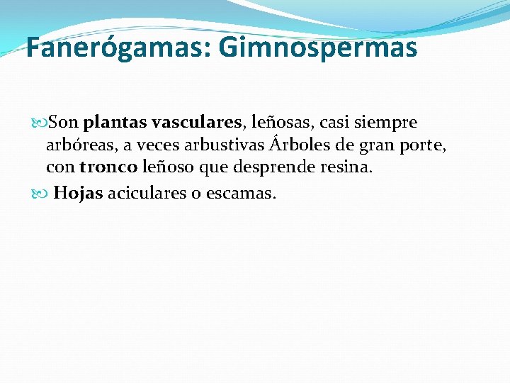 Fanerógamas: Gimnospermas Son plantas vasculares, leñosas, casi siempre arbóreas, a veces arbustivas Árboles de