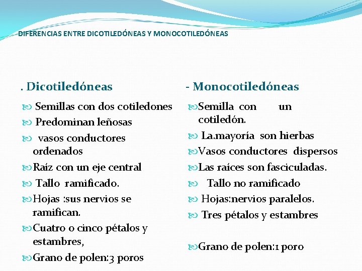 DIFERENCIAS ENTRE DICOTILEDÓNEAS Y MONOCOTILEDÓNEAS . Dicotiledóneas - Monocotiledóneas Semillas con dos cotiledones Predominan