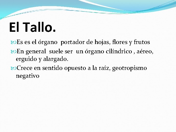El Tallo. Es es el órgano portador de hojas, flores y frutos En general