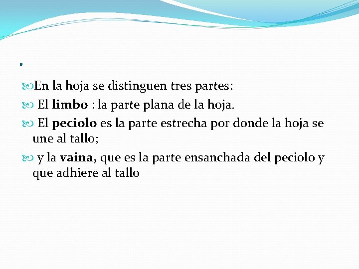 . En la hoja se distinguen tres partes: El limbo : la parte plana