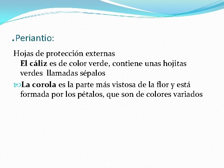 . Periantio: Hojas de protección externas El cáliz es de color verde, contiene unas