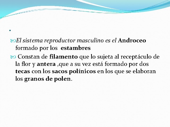 . El sistema reproductor masculino es el Androceo formado por los estambres Constan de