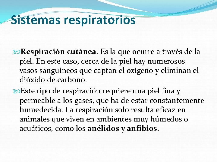 Sistemas respiratorios Respiración cutánea. Es la que ocurre a través de la piel. En