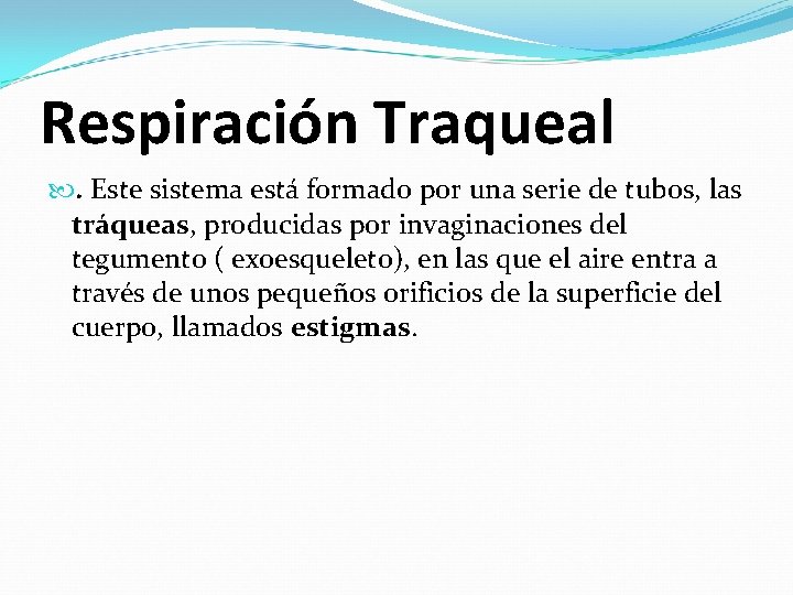 Respiración Traqueal . Este sistema está formado por una serie de tubos, las tráqueas,