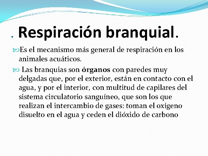 . Respiración branquial. Es el mecanismo más general de respiración en los animales acuáticos.