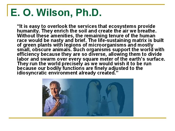 E. O. Wilson, Ph. D. “It is easy to overlook the services that ecosystems