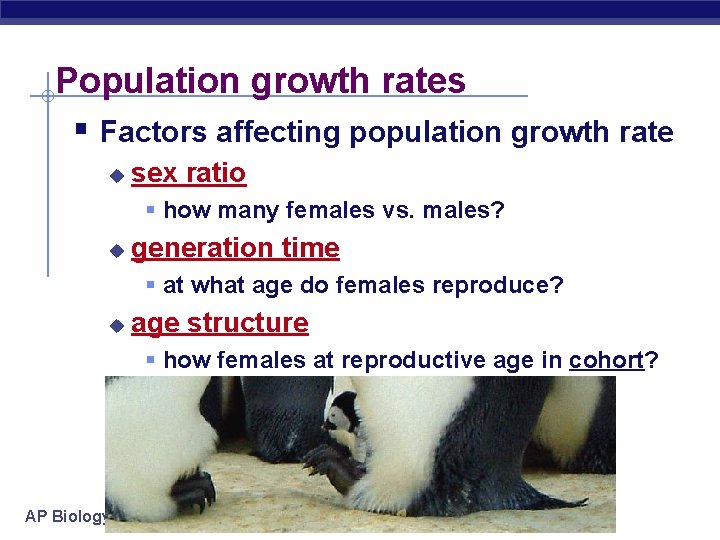Population growth rates § Factors affecting population growth rate u sex ratio § how