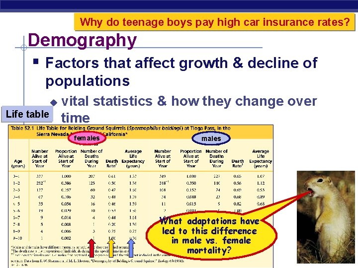 Why do teenage boys pay high car insurance rates? Demography § Factors that affect