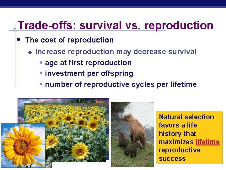 Trade-offs: survival vs. reproduction § The cost of reproduction u AP Biology increase reproduction