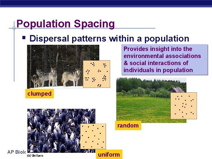 Population Spacing § Dispersal patterns within a population Provides insight into the environmental associations