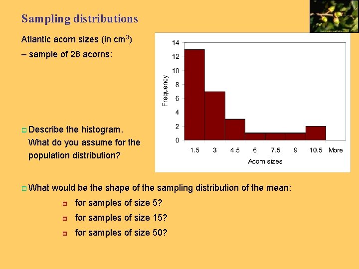 Sampling distributions Atlantic acorn sizes (in cm 3) – sample of 28 acorns: p