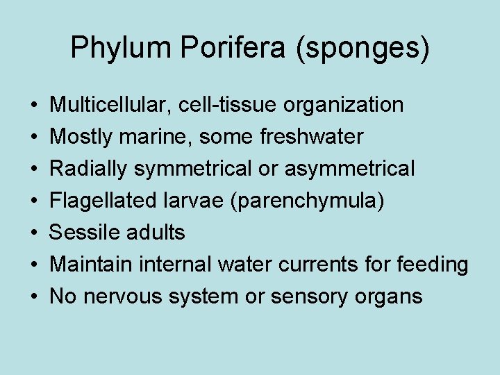 Animals Biology Donald Winslow 8 April 2011 Kingdom