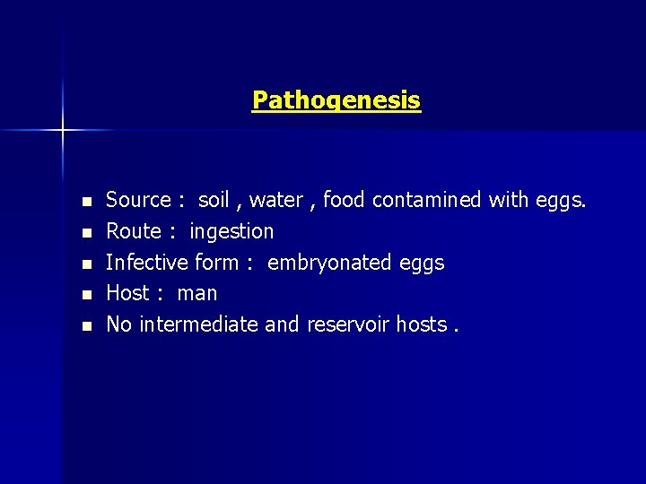 Pathogenesis n n n Source : soil , water , food contamined with eggs.