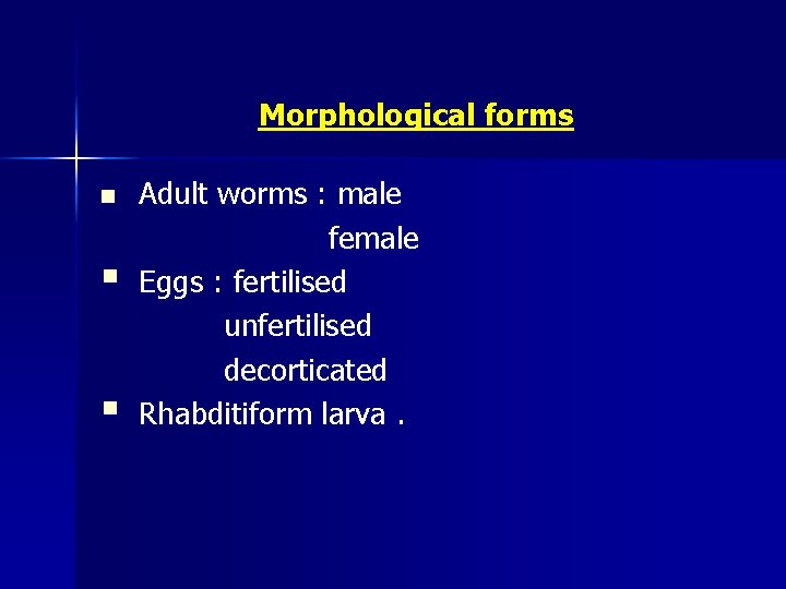 Morphological forms n § § Adult worms : male female Eggs : fertilised unfertilised