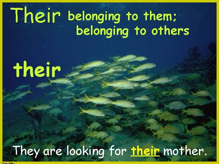 Their belonging to them; belonging to others their They are looking for their mother.