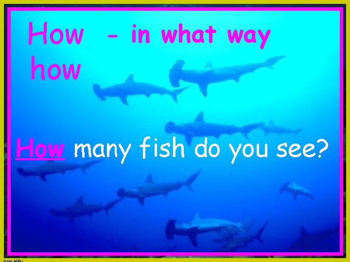 How - in what way how How many fish do you see? 