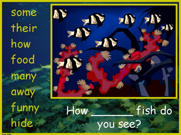 some their how food many away funny hide How ______ fish do you see?