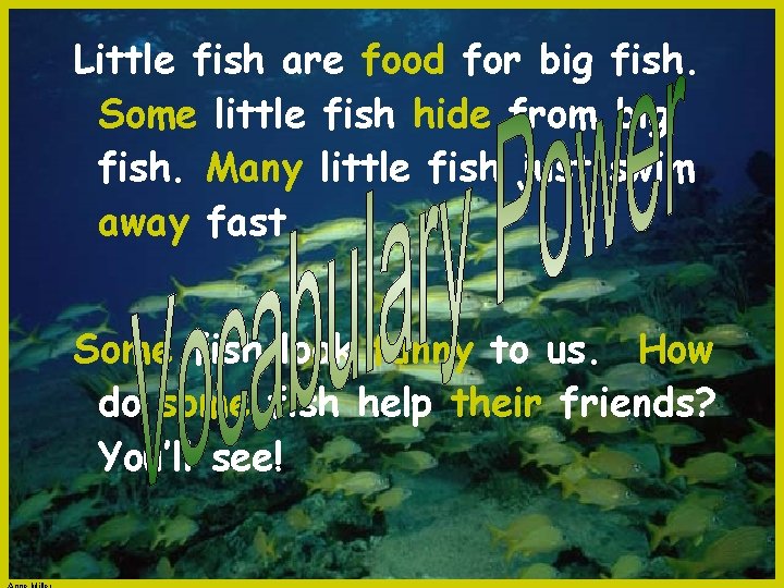 Little fish are food for big fish. Some little fish hide from big fish.