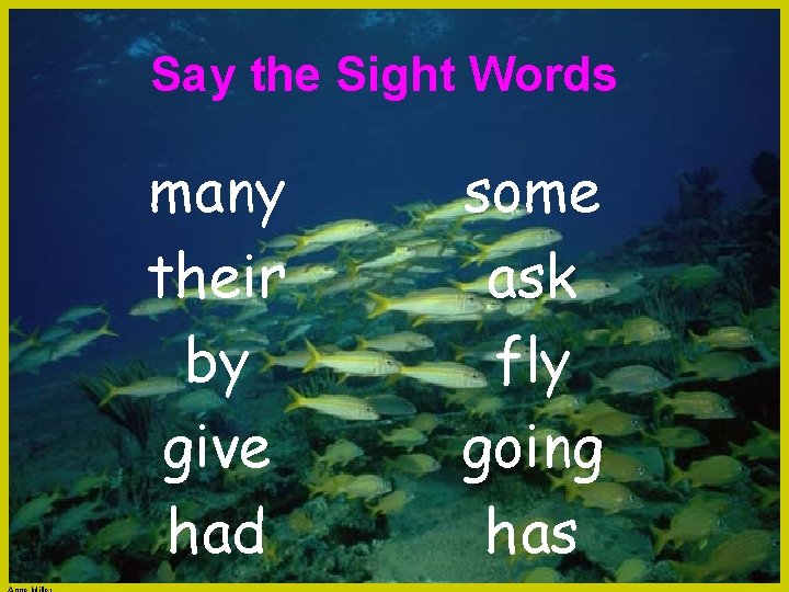 Say the Sight Words many their by give had some ask fly going has