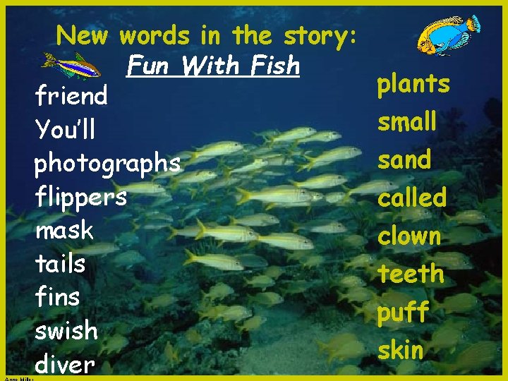 New words in the story: Fun With Fish friend You’ll photographs flippers mask tails