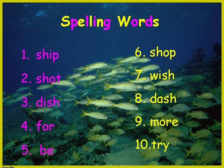 Spelling Words 1. ship 6. shop 2. shot 7. wish 3. dish 8. dash