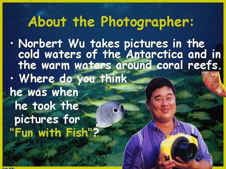 About the Photographer: • Norbert Wu takes pictures in the cold waters of the
