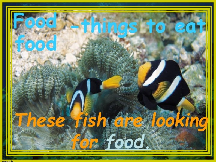 Food -things to eat food These fish are looking for food. 