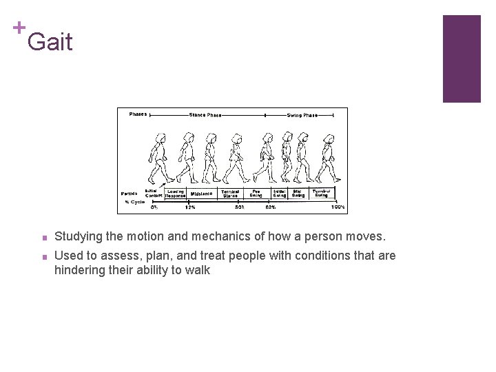 + Gait ■ Studying the motion and mechanics of how a person moves. ■