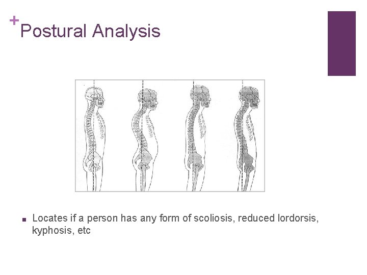 + Postural Analysis ■ Locates if a person has any form of scoliosis, reduced