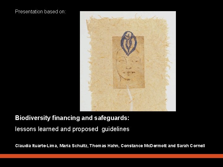 Presentation based on: Biodiversity financing and safeguards: lessons learned and proposed guidelines Claudia Ituarte-Lima,