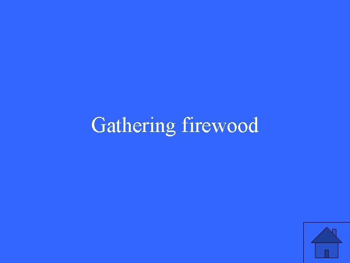 Gathering firewood 