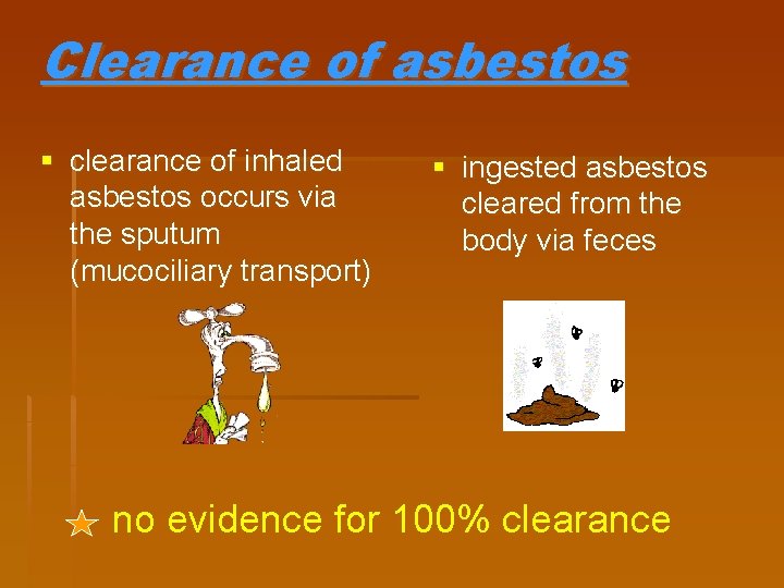 Clearance of asbestos § clearance of inhaled asbestos occurs via the sputum (mucociliary transport)