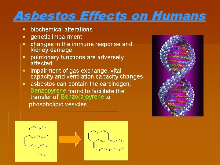 Asbestos Effects on Humans § biochemical alterations § genetic impairment § changes in the