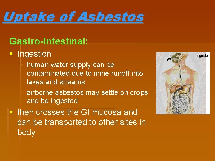 Uptake of Asbestos Gastro-Intestinal: § Ingestion § human water supply can be contaminated due